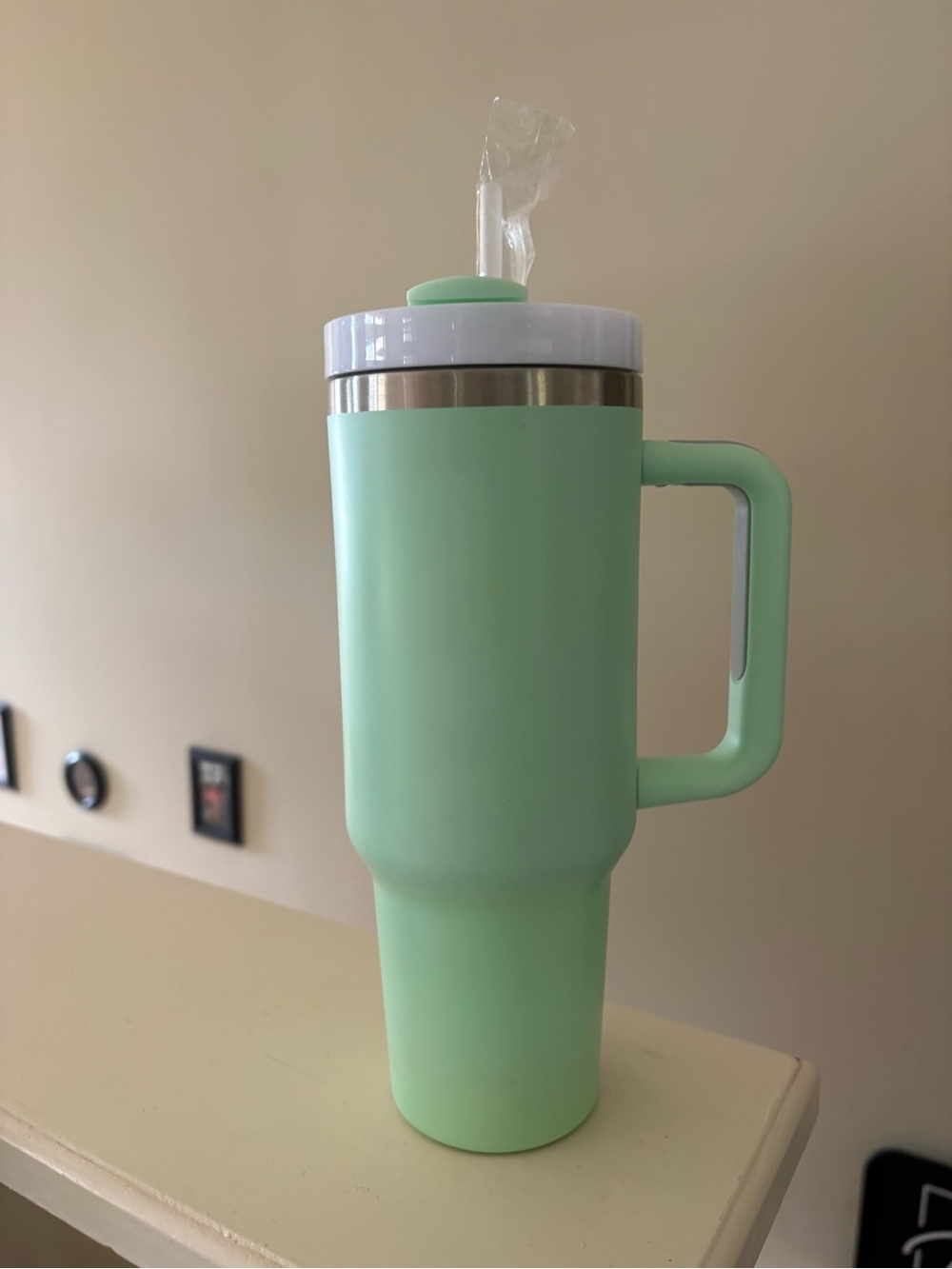 Mint green - 40oz tumbler